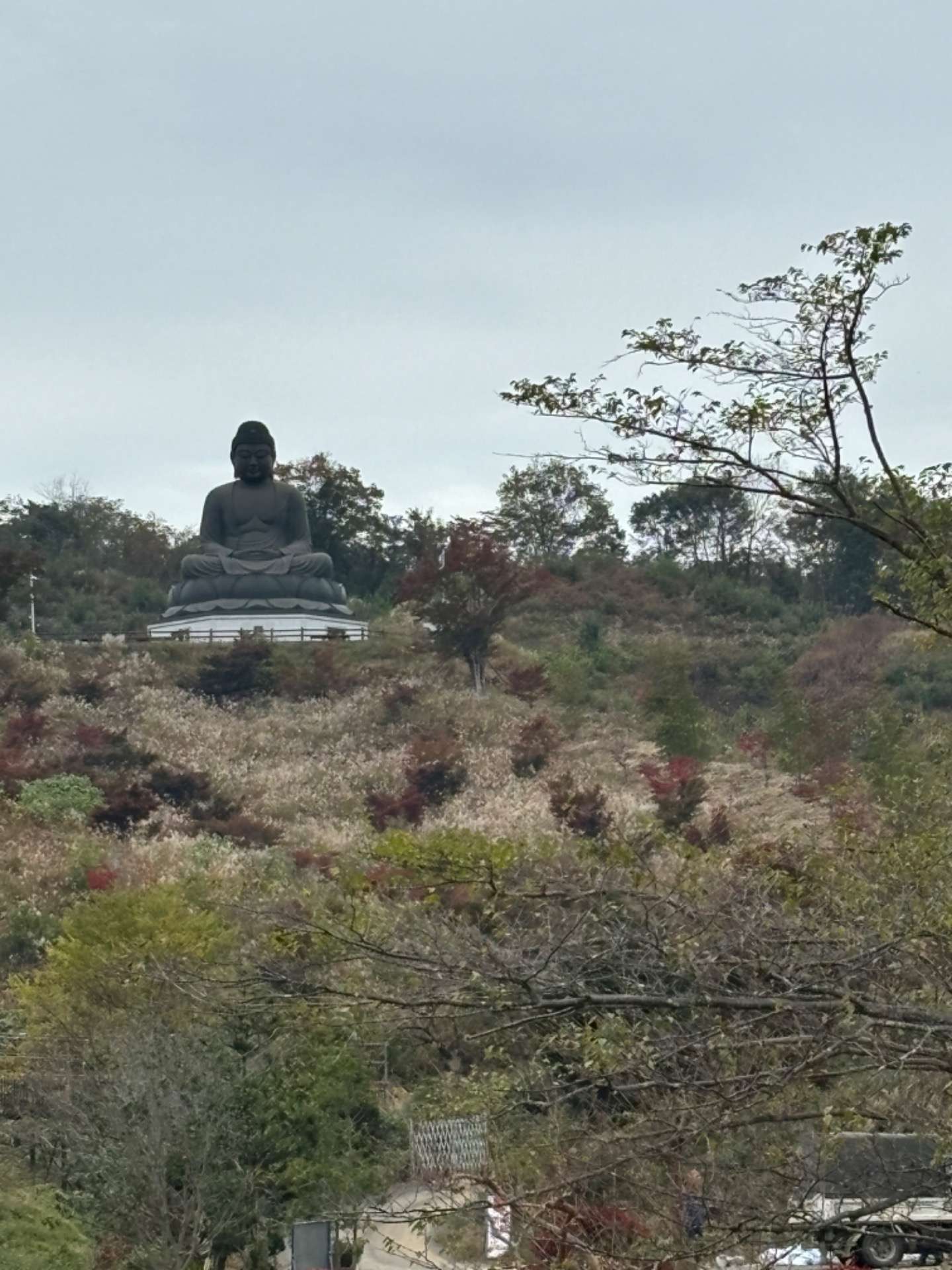 お墓参り