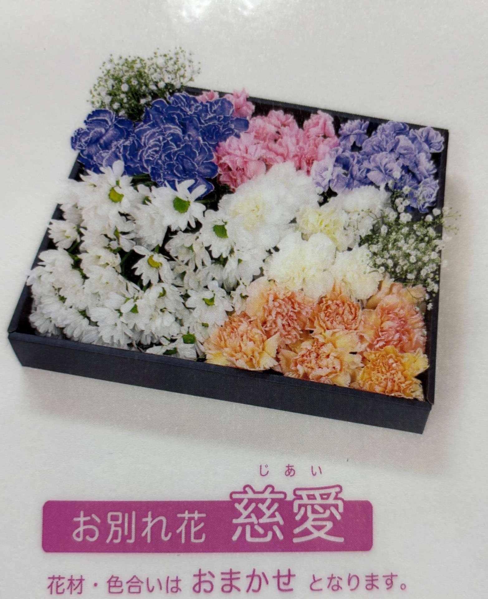 直葬プラン